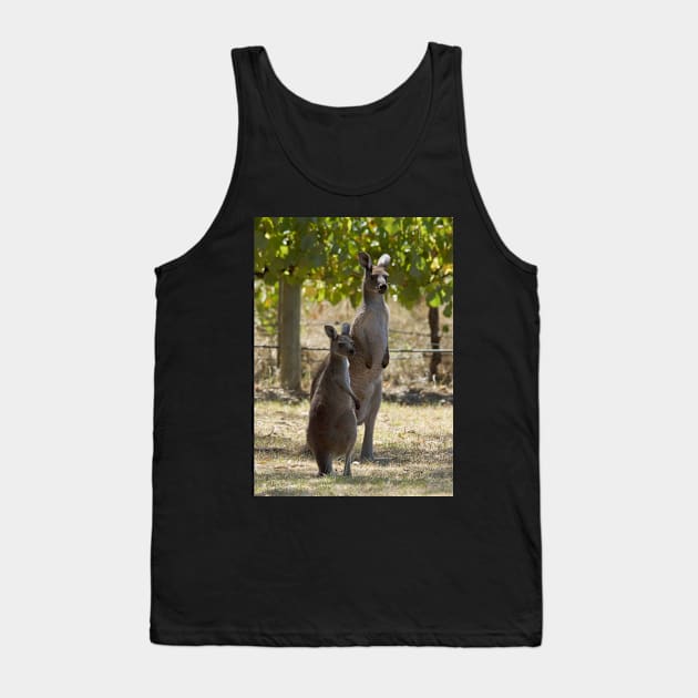 Two Roos at Magpie Springs by Avril Thomas Tank Top by MagpieSprings